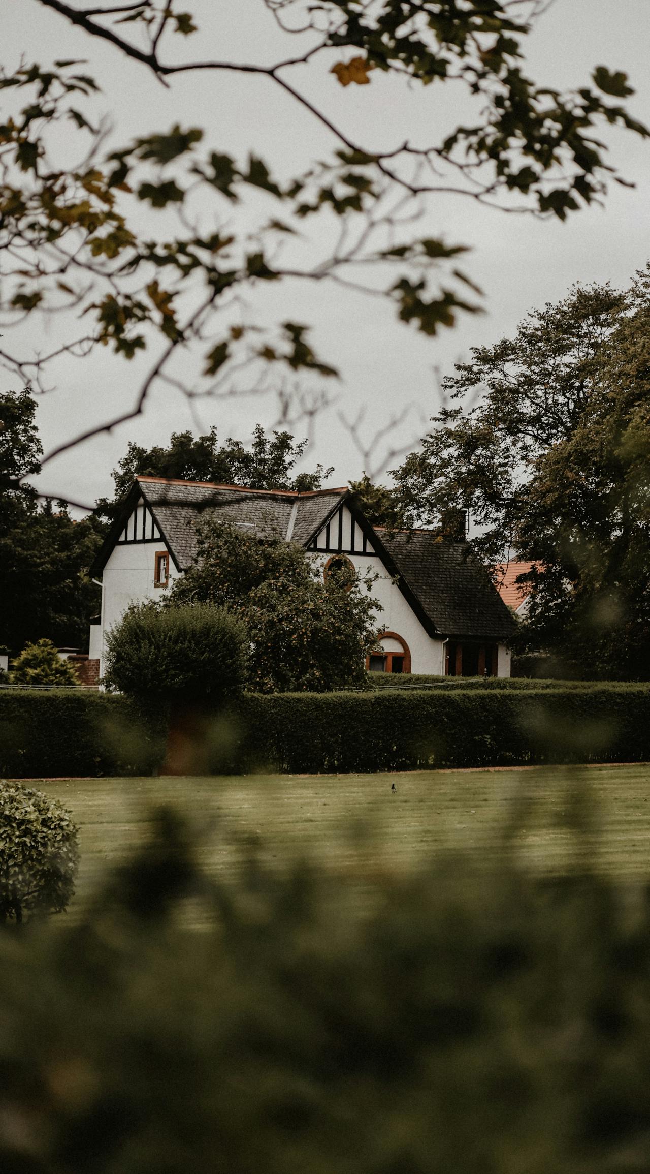 Une maison entourée d'une haie | Source : Pexels
