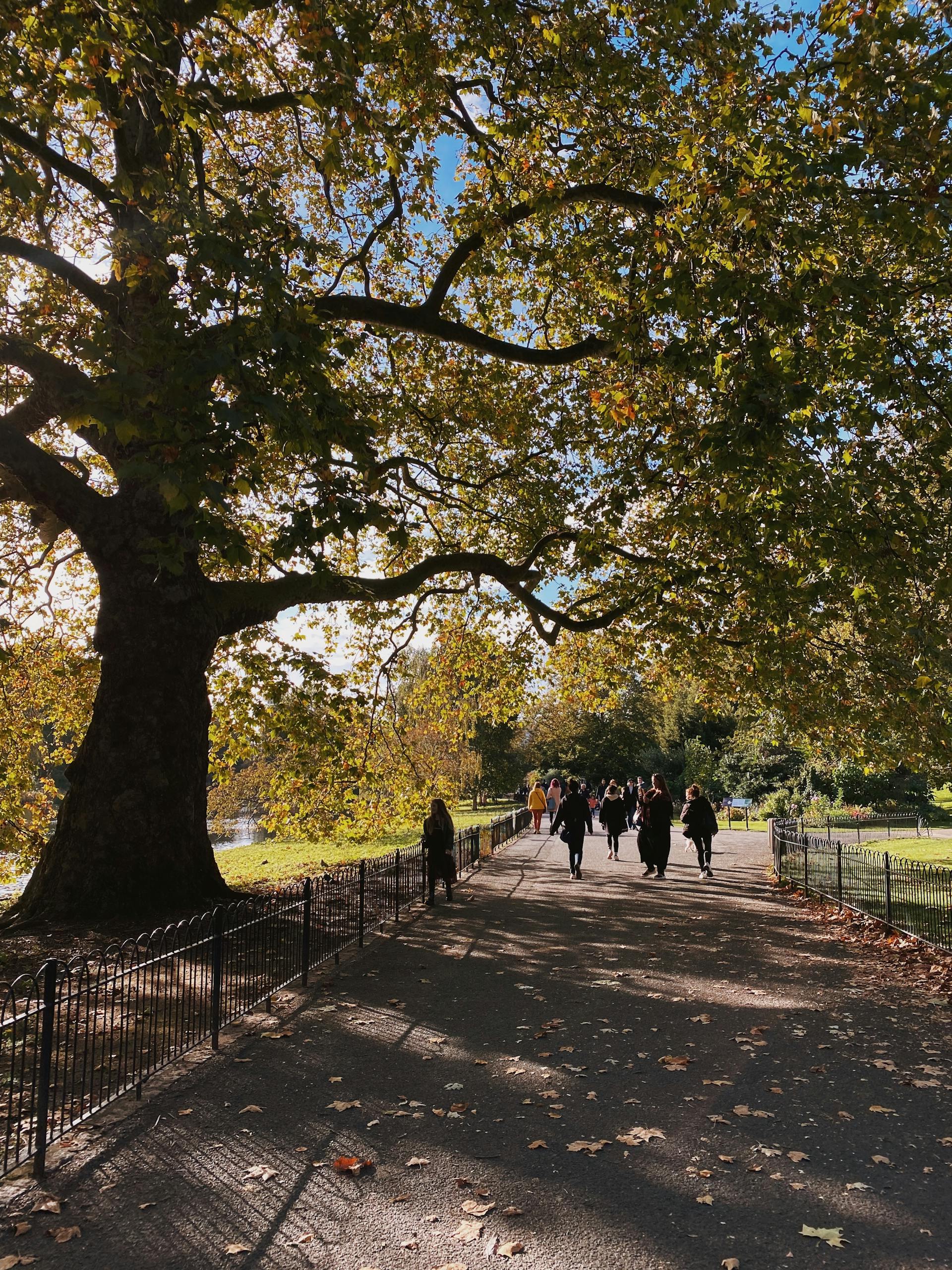 Des gens se promènent dans un parc | Source : Pexels