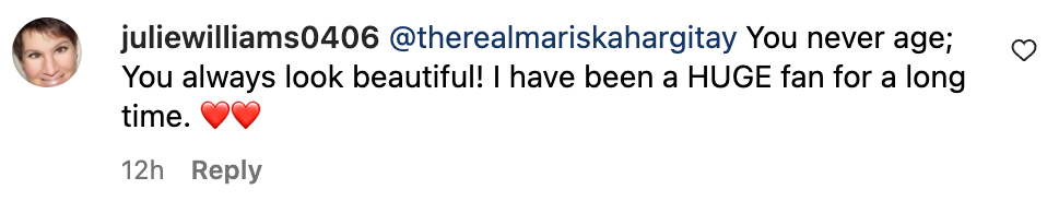 Commentaire d'un utilisateur sur le post Instagram de Mariska Hargitay | Source : instagram.com/therealmariskahargitay