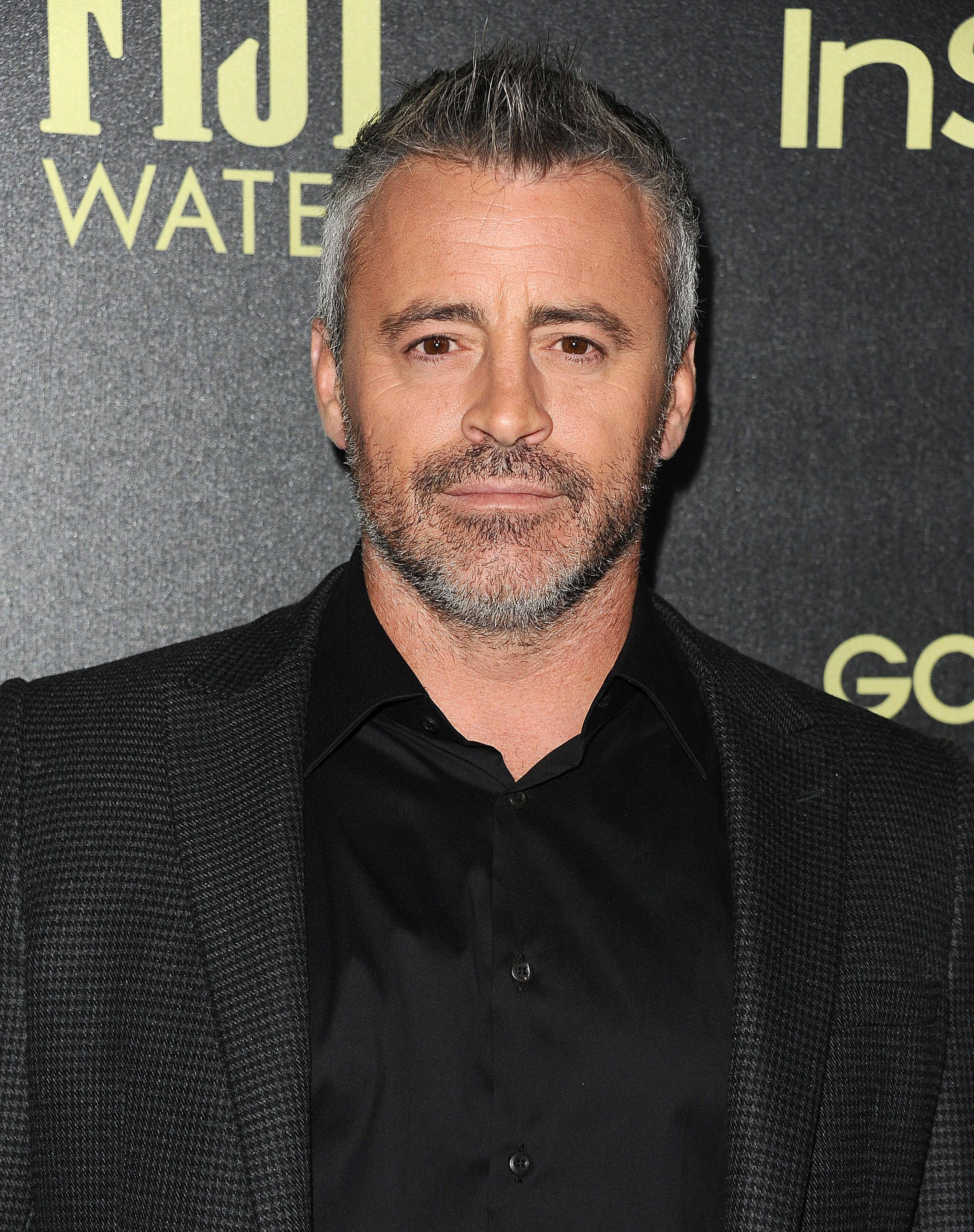 Matt LeBlanc lors de la célébration de la saison des Golden Globes 2016 par l'Association de la presse étrangère d'Hollywood et InStyle, le 17 novembre 2015, à West Hollywood, en Californie. | Source : Getty Images