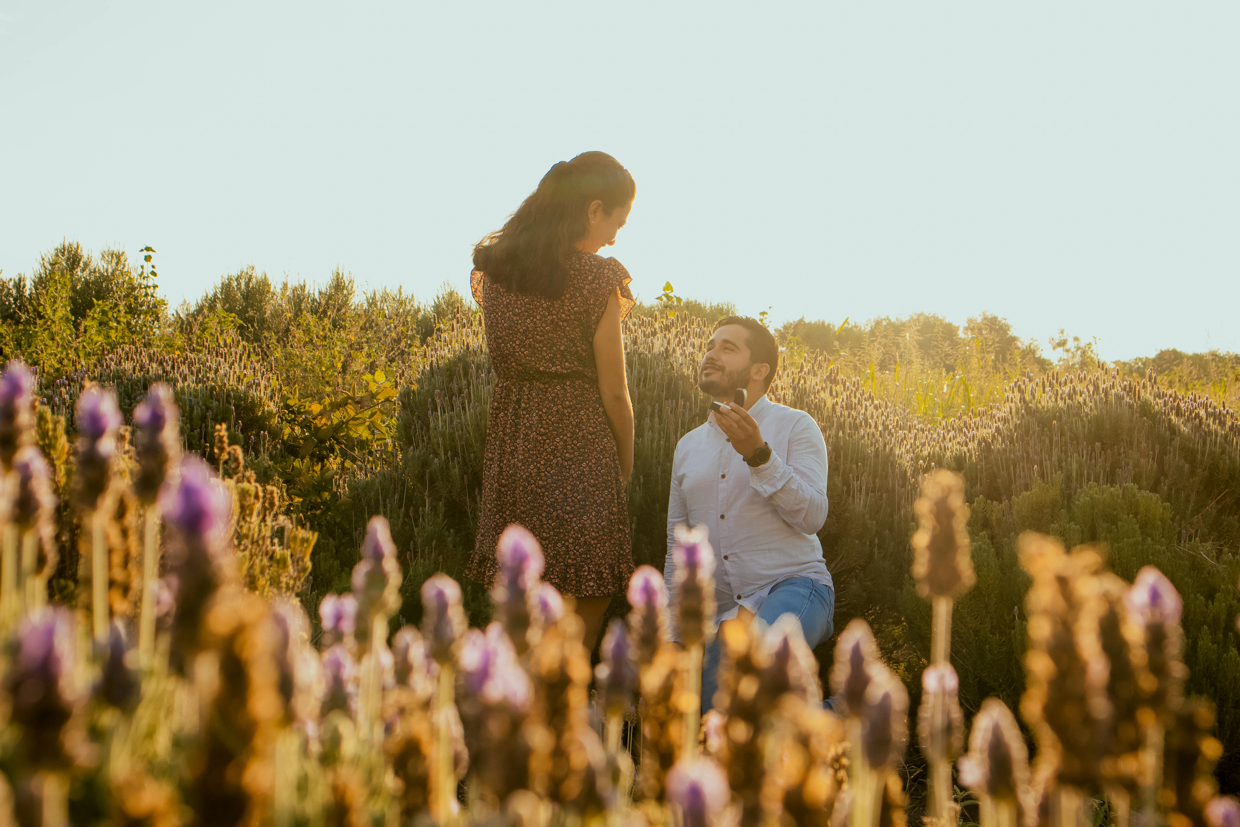 Un homme demande sa petite amie en mariage sur un champ de lavande | Source : Pexels