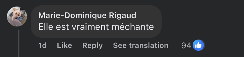 Commentaire d'une internaute sur la blague d'Inès Reg | Source : capture Facebook