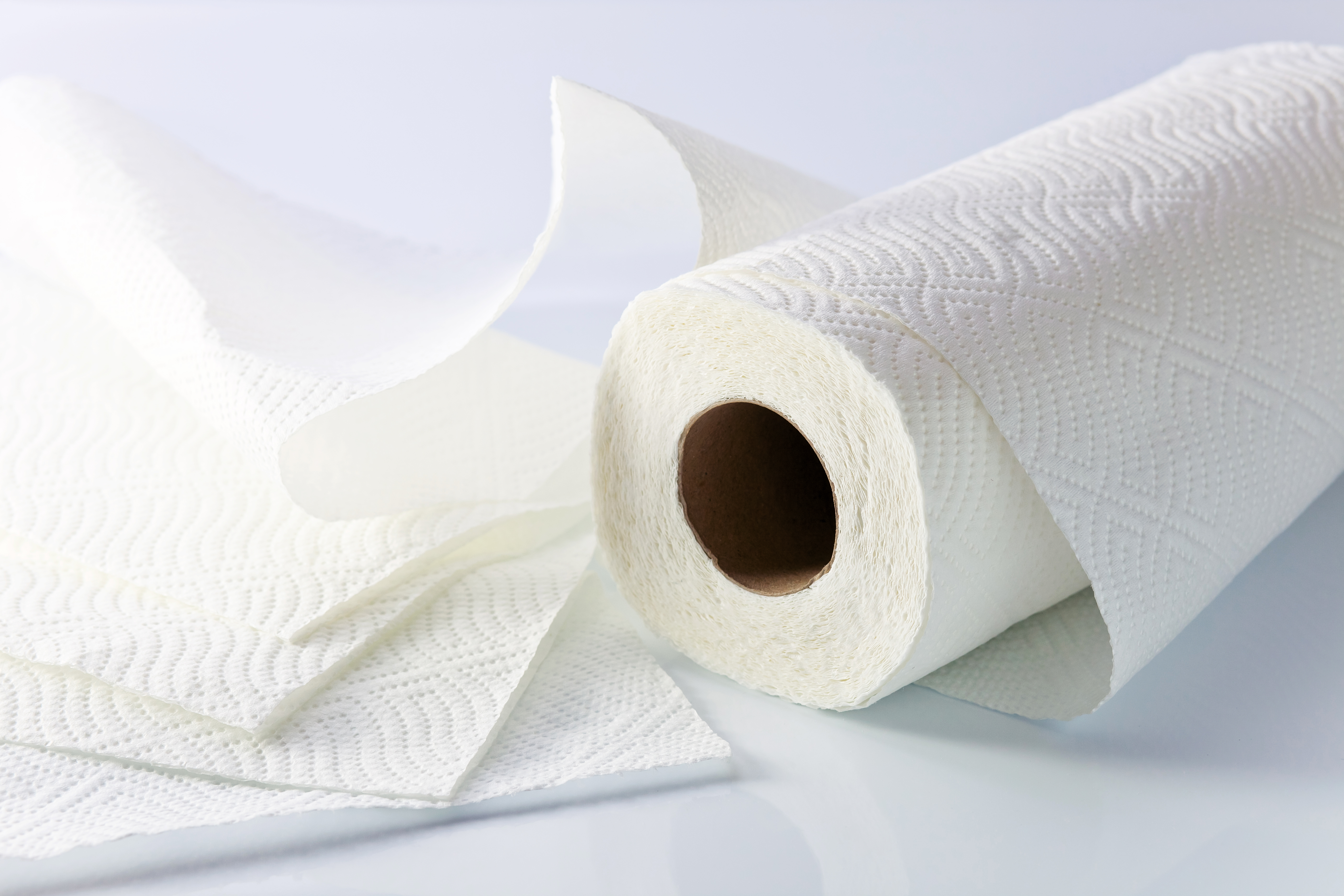 Un rouleau de papier toilette | Source : Shutterstock