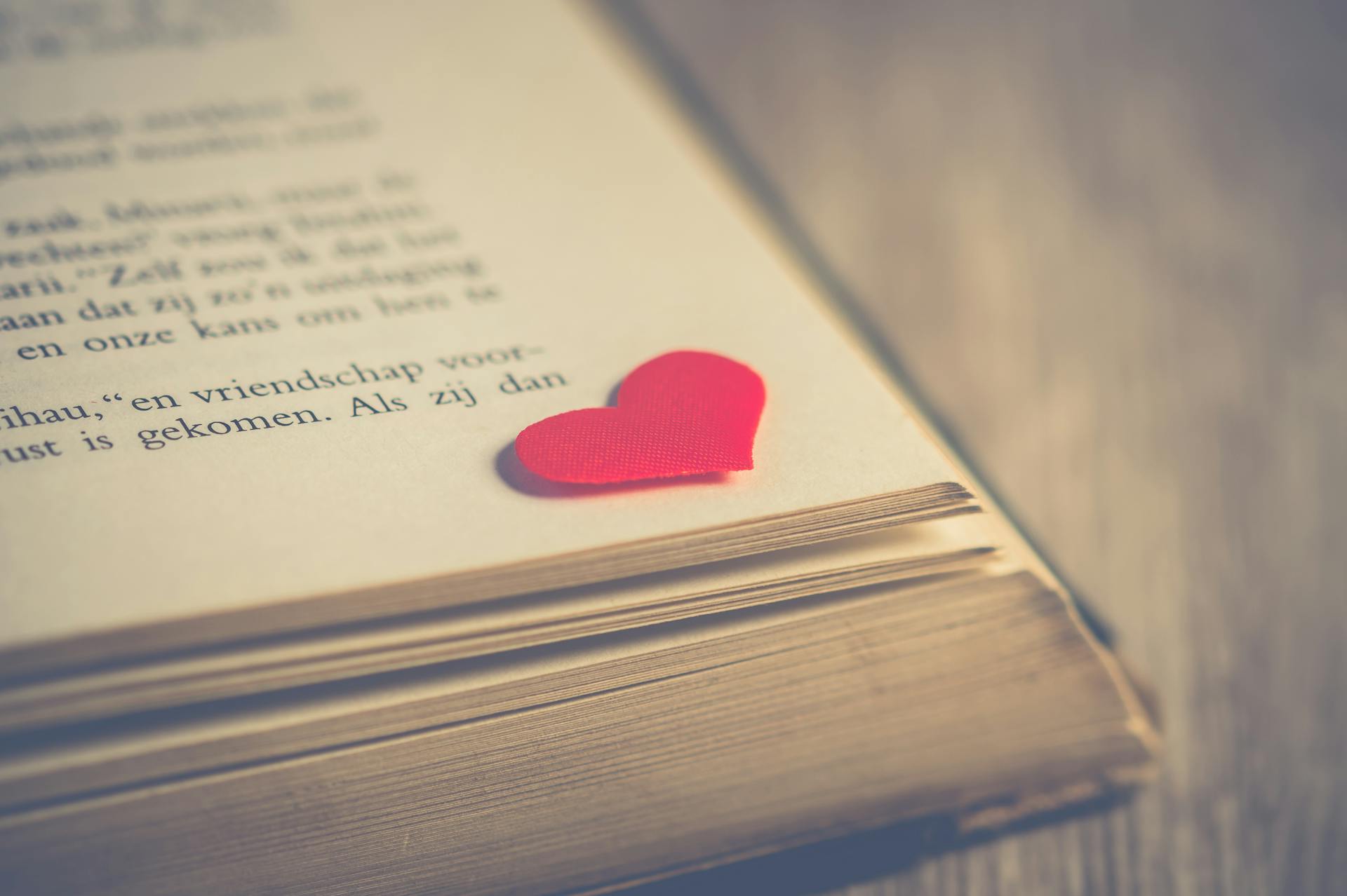 Gros plan sur un roman | Source : Pexels