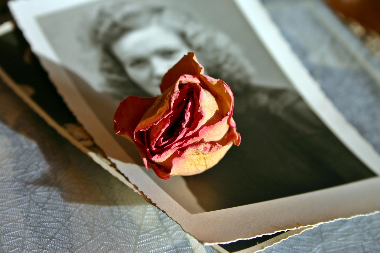 Vieille photo d'une femme avec une rose | Source : Pixabay