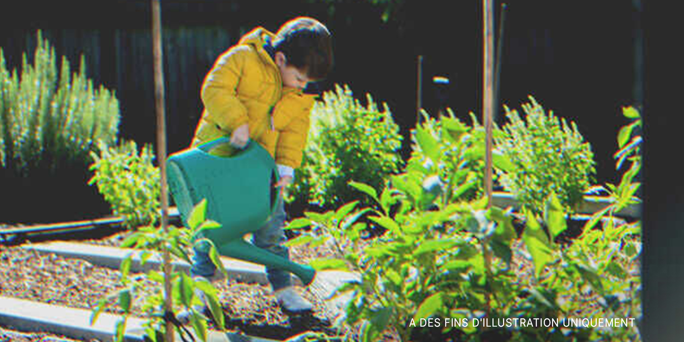 Un garçon qui arrose une plante | Source : Shutterstock