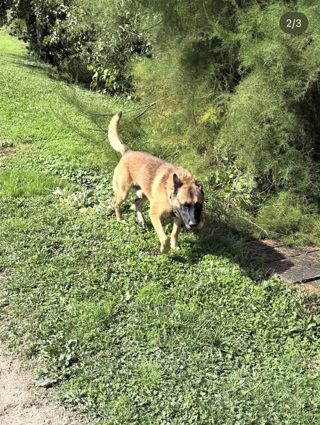 Capture d'écran I Source : https://www.instagram.com/alainfabiendelon/?hl=en