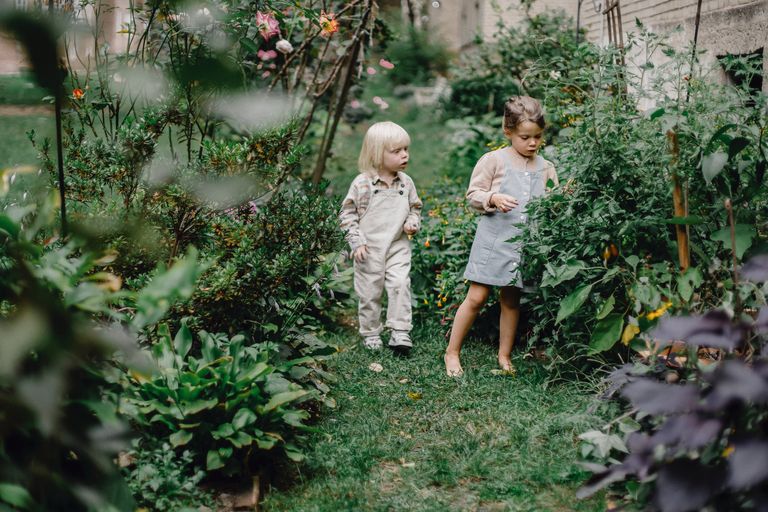 Beth et Lily aidaient souvent Victor dans son jardin. | Source : Pexels