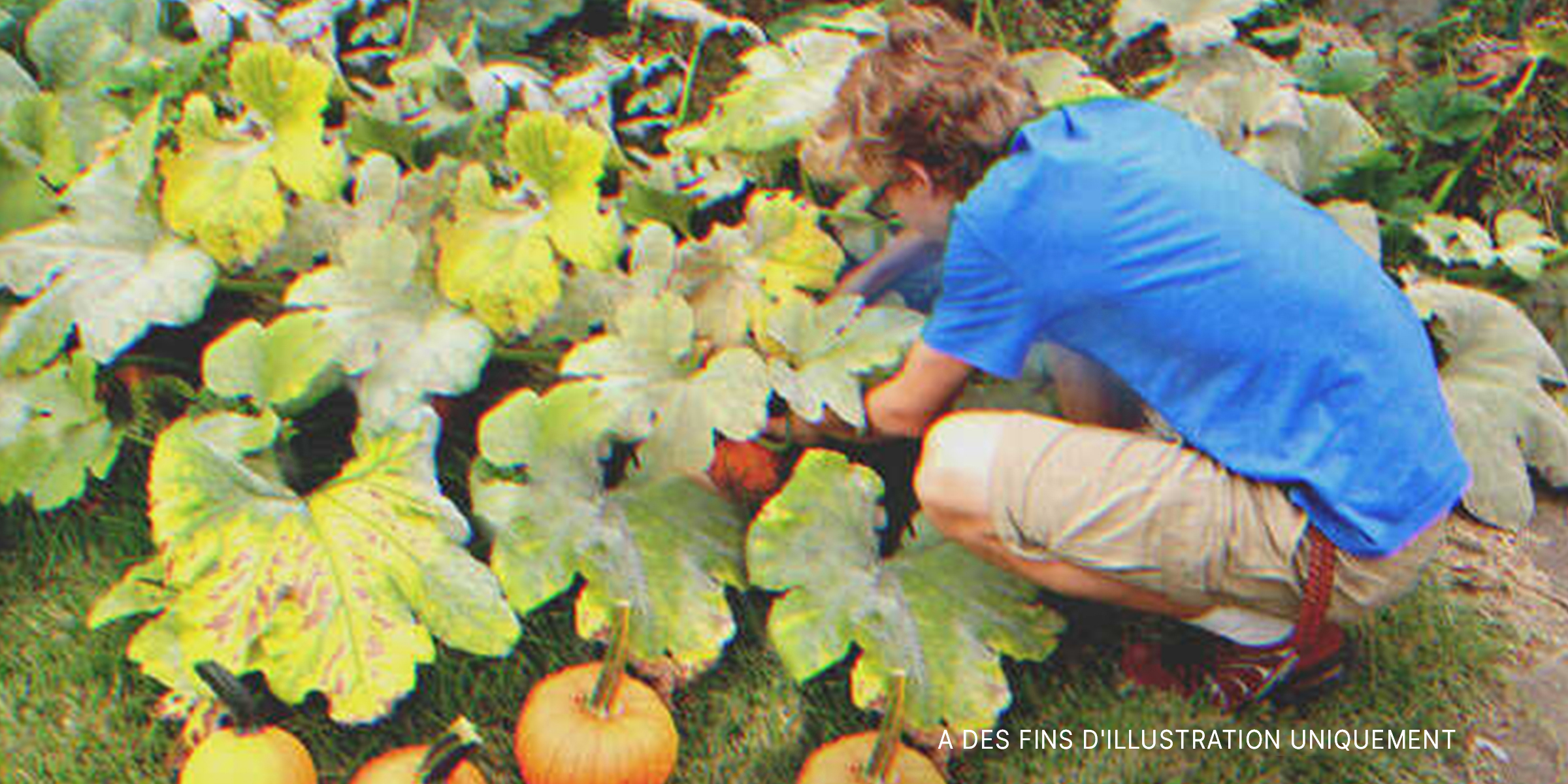 Garçon travaillant dans le jardin | Source : Shutterstock