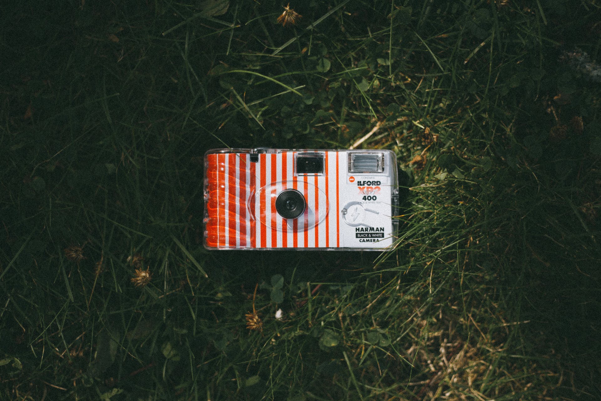 Una cámara de un solo uso | Fuente: Pexels