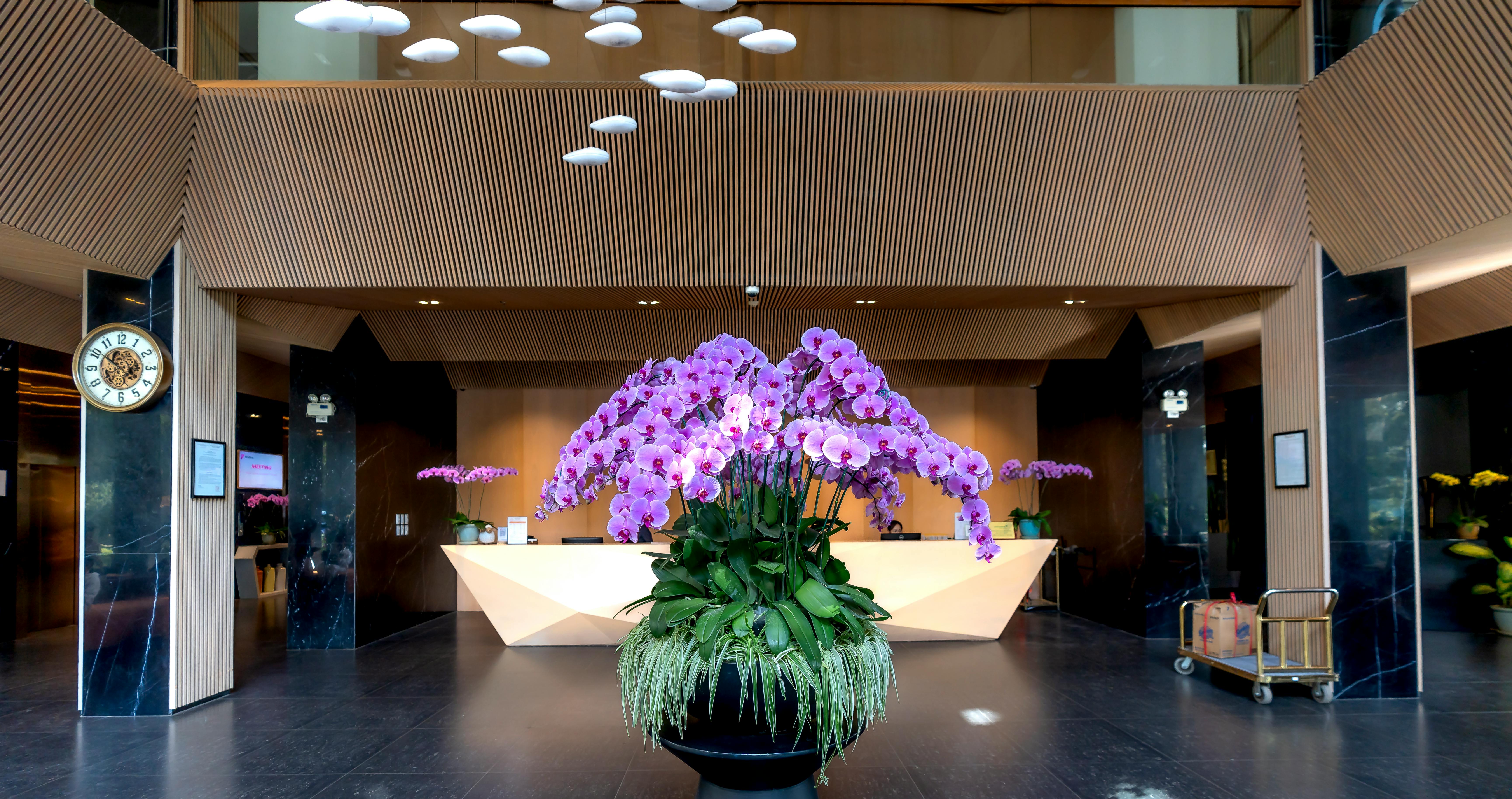 Un hall d'hôtel | Source : Pexels