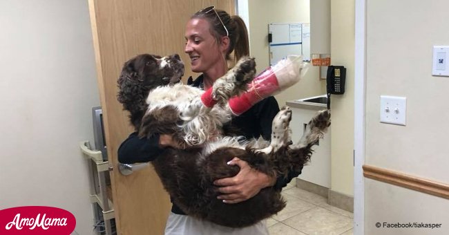 Une femme porte un chien blessé de 25 kg dans ses bras sur une montagne glacée de 10 km