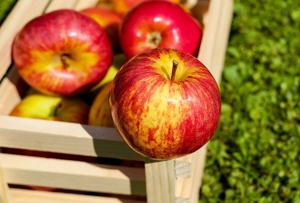 Images montrant des pommes. | Photo : Pixabay