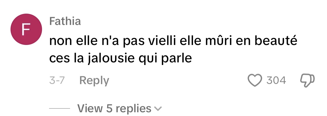 Commentaire d'un internaute | Source : TikTok/septahuit_off