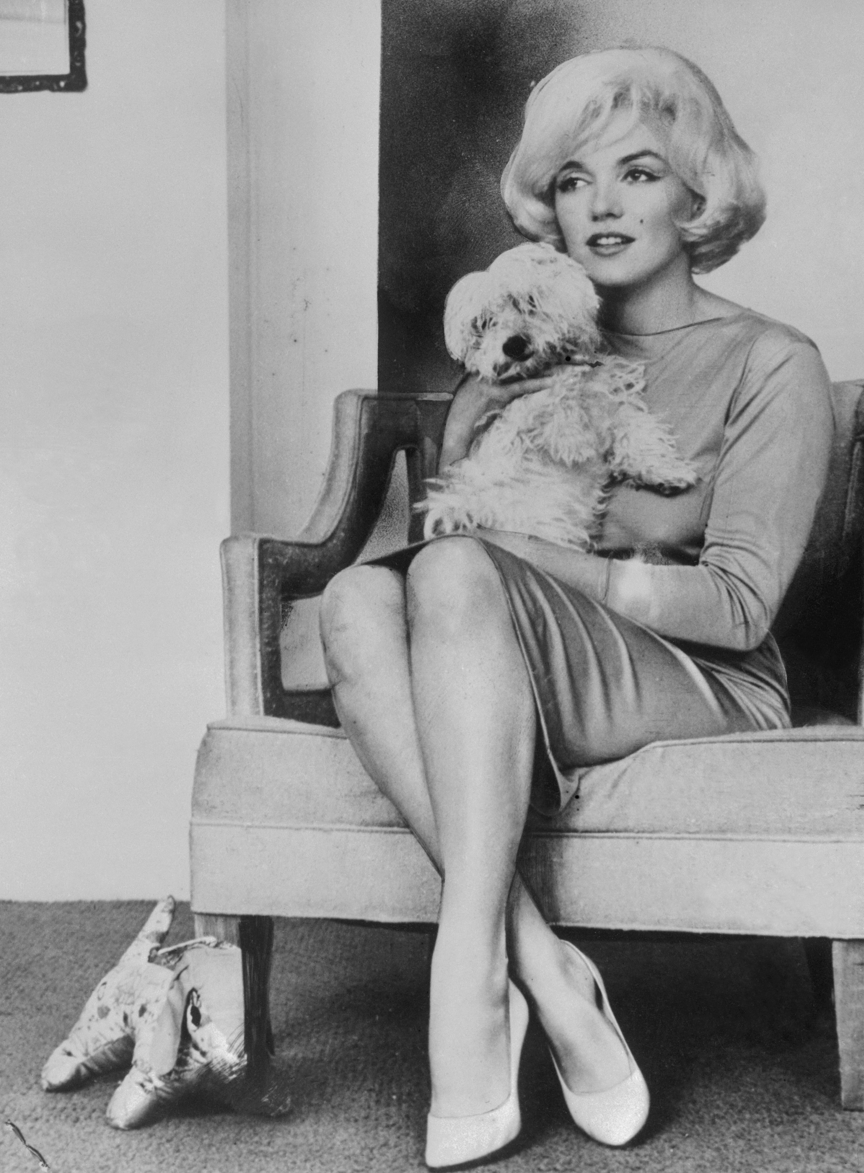 Marilyn Monroe posant avec son chien | Source : Getty Images
