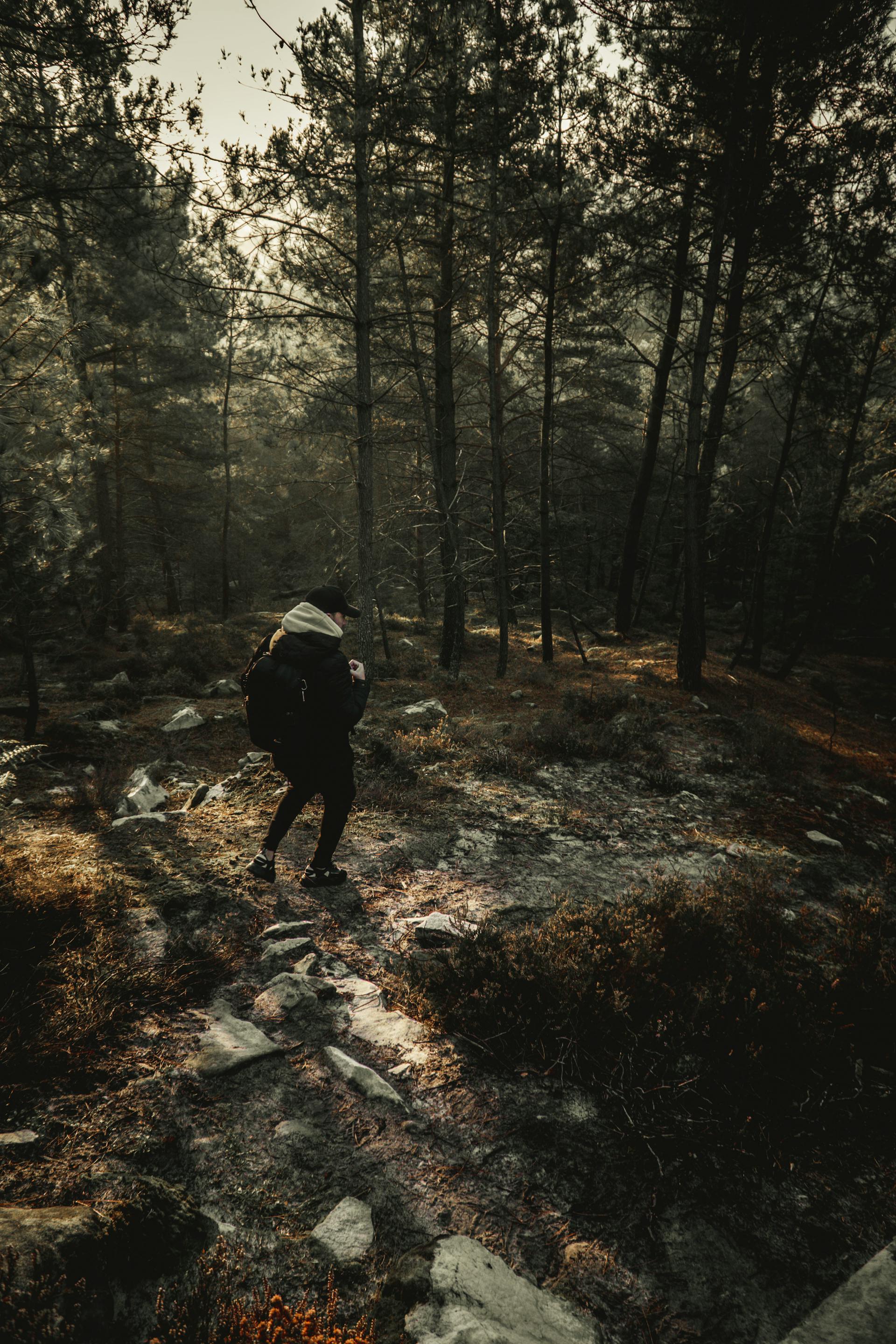 Un homme en train de faire une randonnée | Source : Pexels
