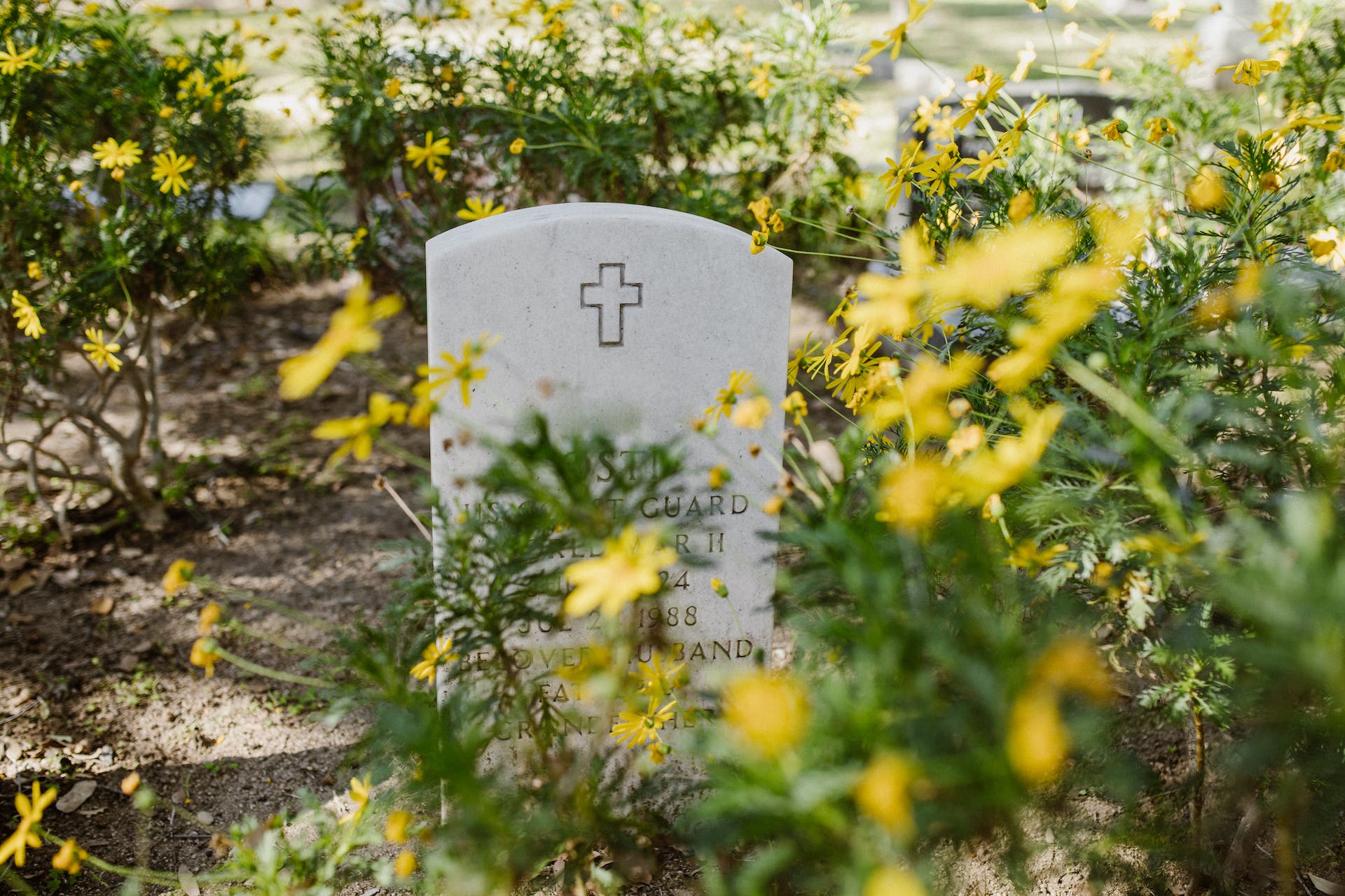 Pierre tombale entourée de fleurs jaunes | Source : Pexels