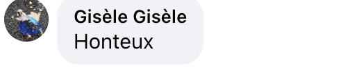 Commentaire d'une internaute sur le souhait de Nicole Croisille | Source : Facebook/Télé Loisirs