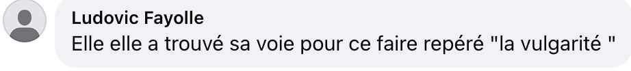 Commentaire d'internaute sur le geste de Caroline Vigneaux | Source : capture réseaux sociaux