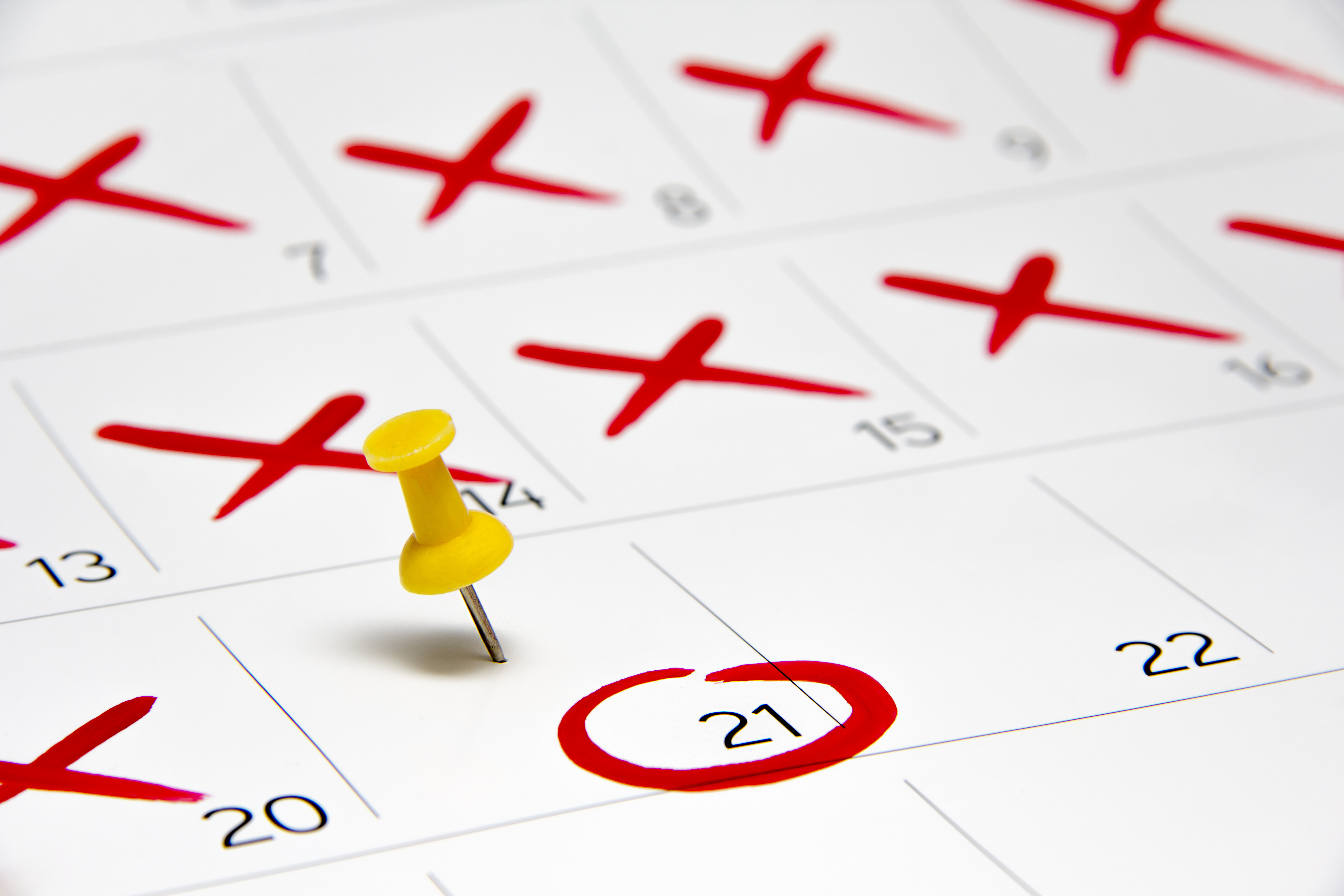 Calendário |  Fonte: Shutterstock